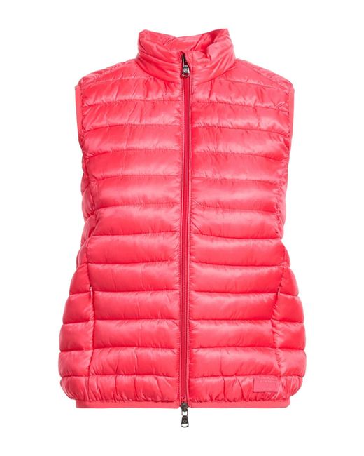 Canadian Pink Vests