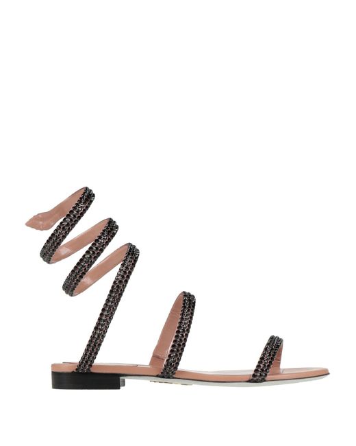 Rene Caovilla Natural Sandals