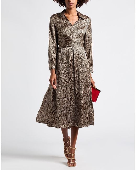 Pennyblack Brown Midi Dress