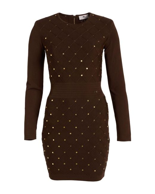 Elisabetta Franchi Brown Mini Dresses