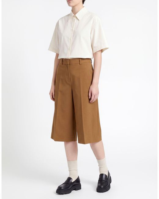MEIMEIJ Brown Light Shorts & Bermuda Shorts Polyester, Viscose, Wool, Elastane