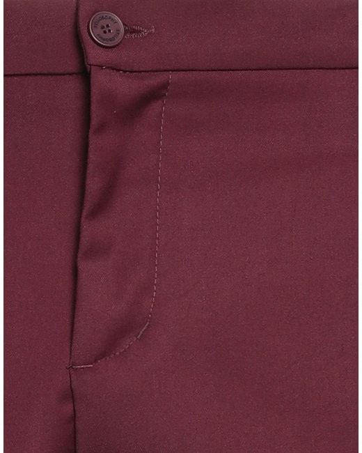 Stilosophy Purple Trouser for men