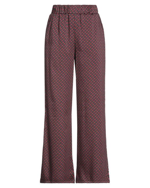 Pantalone di DIMORA in Purple