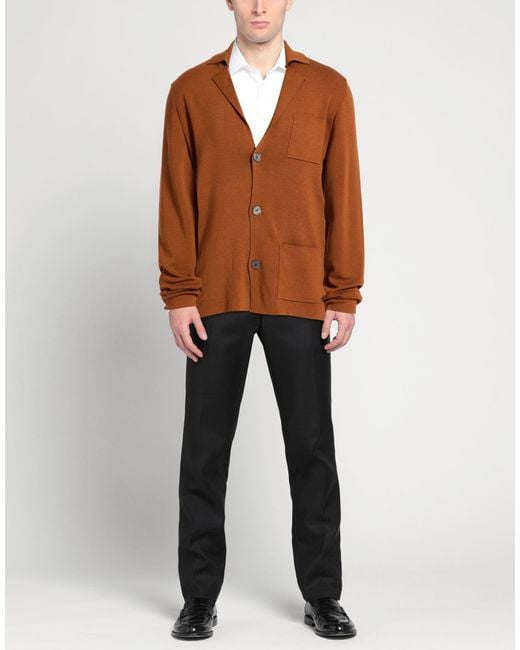 Alpha Studio Brown Cardigans for men