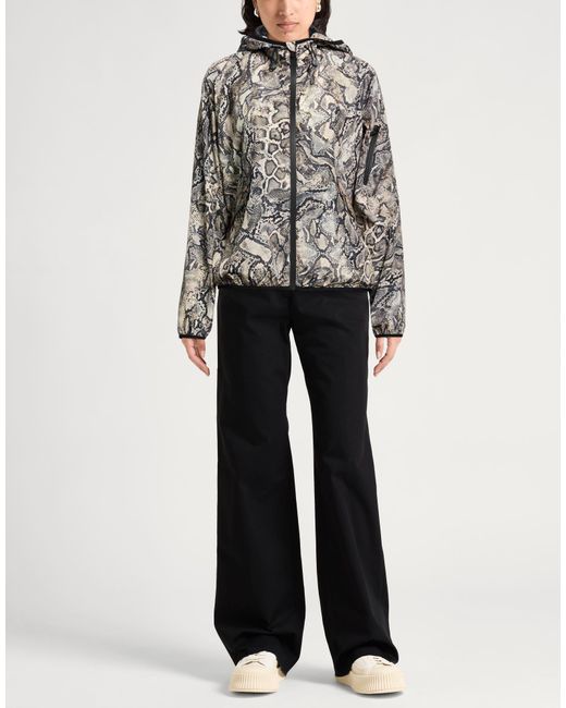 Just Cavalli Gray Jackets