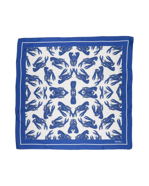 Sciarpa di Max Mara in Blue