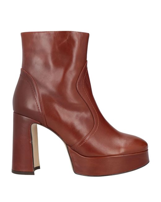 Bruno Premi Brown Ankle Boots