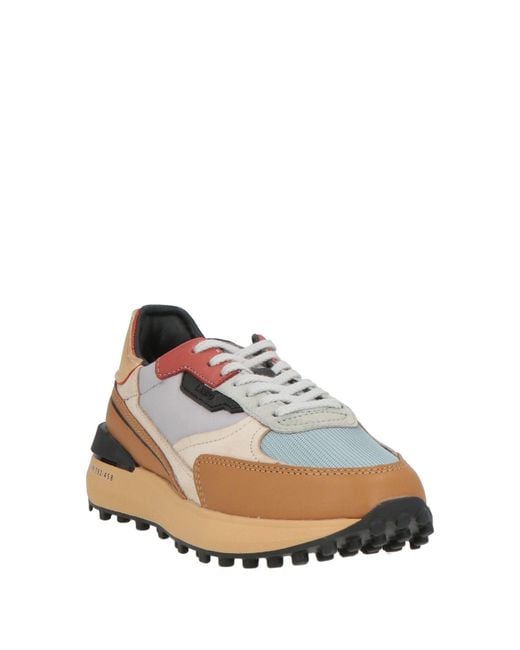 Date Brown Sneakers
