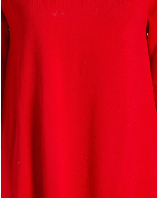 Kangra Red Jumper