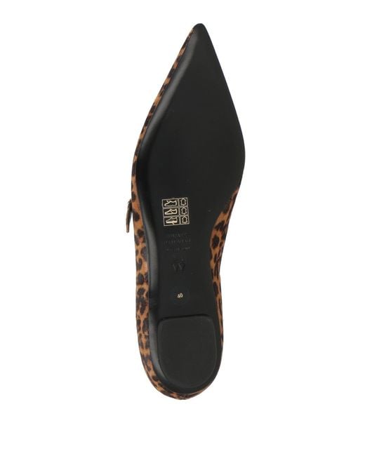 Stuart Weitzman Brown Ballet Flats
