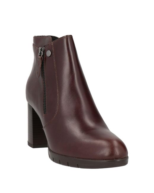 Cinzia Soft Brown Stiefelette