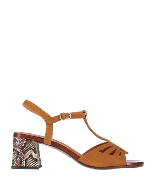 Chie Mihara Brown Sandals