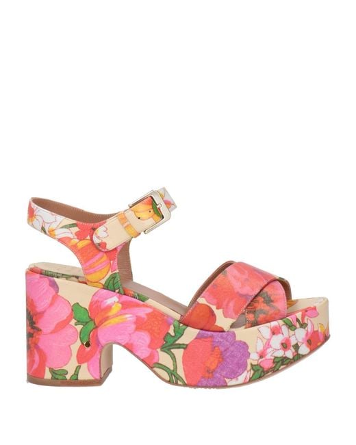Laurence Dacade Pink Sandale