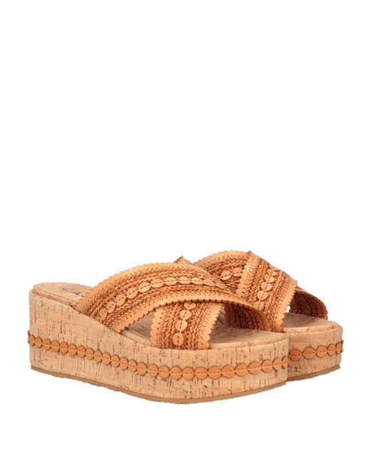 Casadei Brown Mules & Clogs