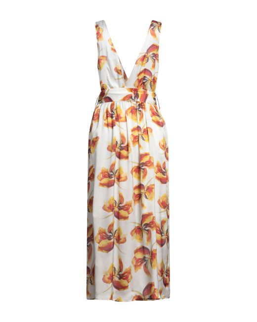 Lardini Metallic Midi Dress Viscose, Silk