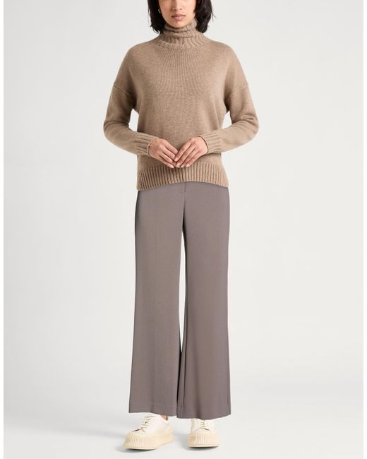 Maliparmi Gray Pants