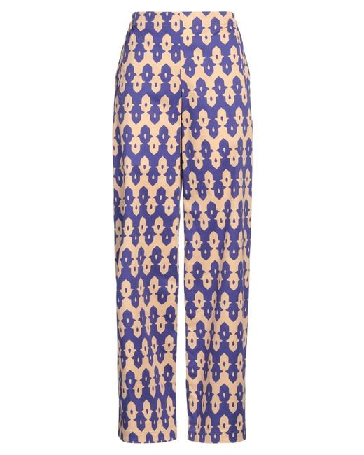 Niu Purple Pants Cotton, Elastane