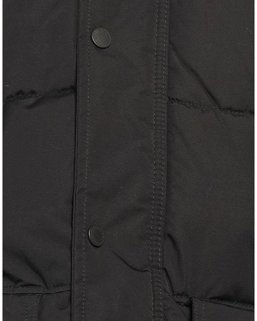Dickies Black Puffer for men