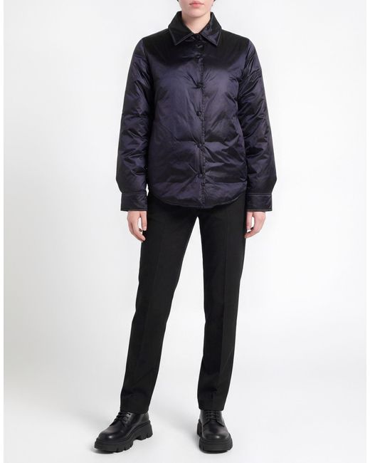 Caractere Blue Puffer