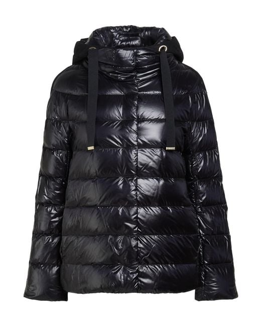 Herno Black Puffer