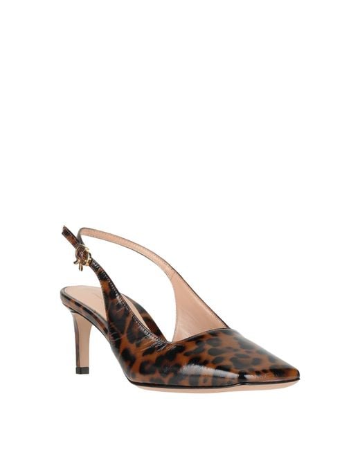 Gianvito Rossi Brown Pumps Leather