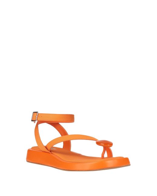 GIA RHW Orange Thong Sandal