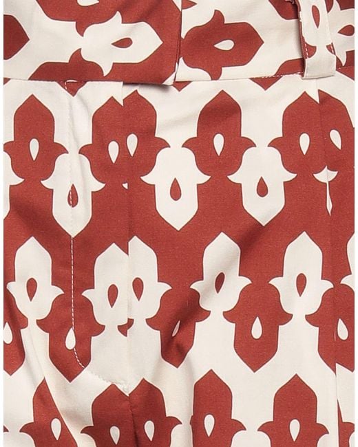 Niu Red Pants Cotton, Elastane