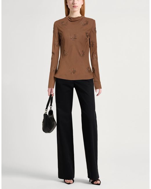 Pinko Brown Top