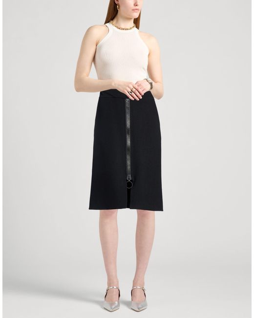 Lanvin Blue Midi Skirt