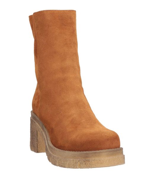 Ahilya Brown Ankle Boots
