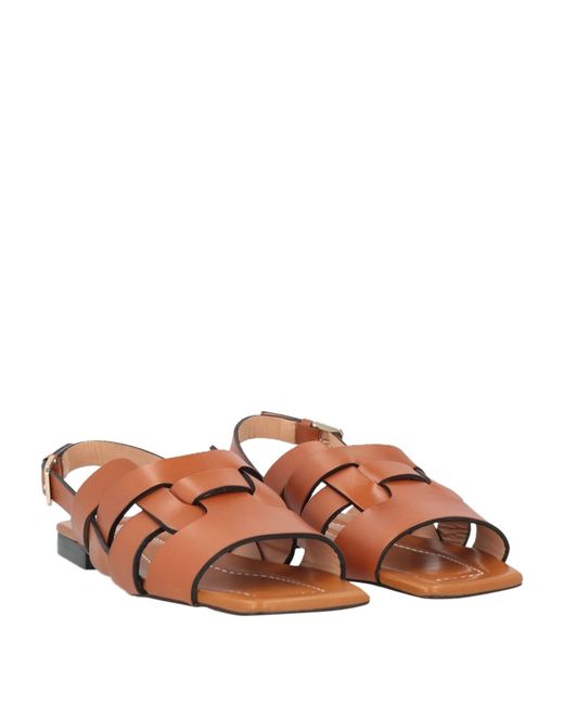 Pollini Brown Sandals