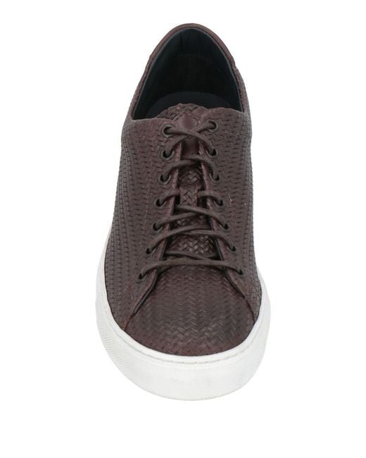 Seboy's Brown Trainers for men