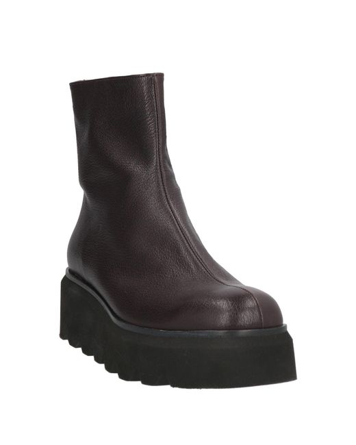 Brunate Brown Ankle Boots