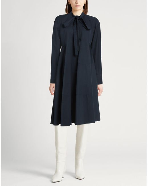 Fabiana Filippi Blue Midi-Kleid