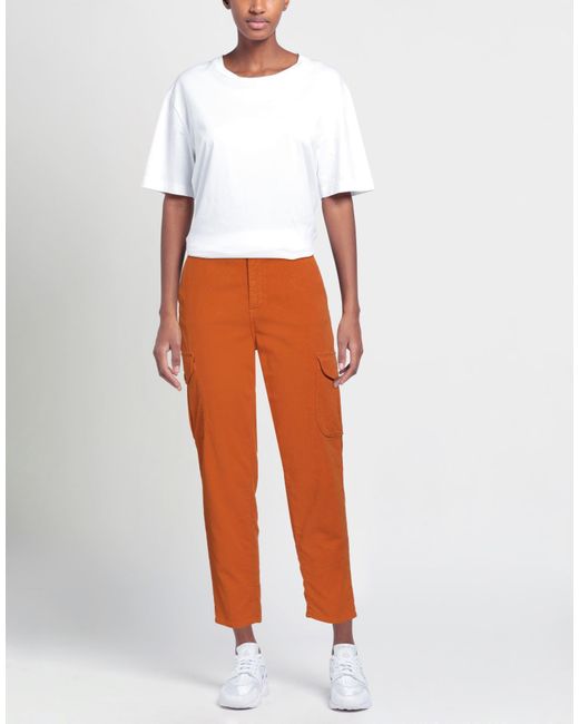 CIGALA'S Orange Pants Cotton, Elastane