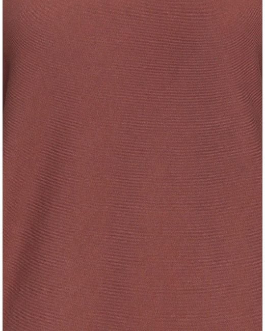 Champion Brown Sweatshirt