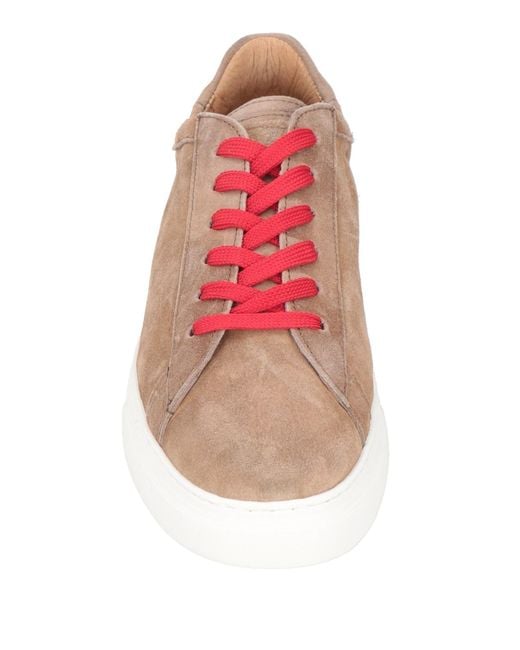Roberto Botticelli Pink Trainers for men