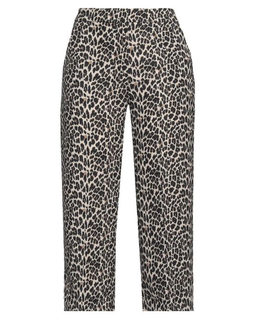 1 One Gray Trouser