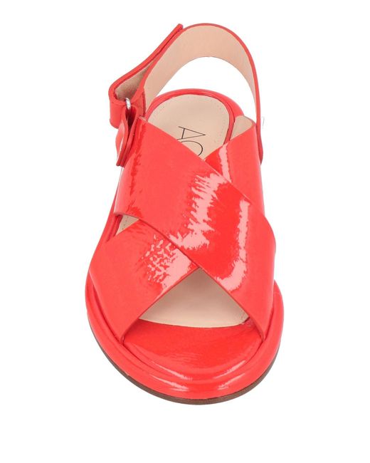 Agl Attilio Giusti Leombruni Red Sandals