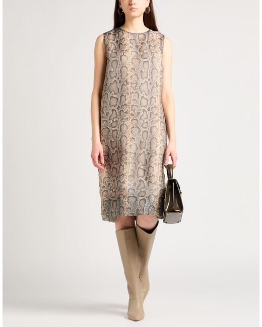 Sportmax Brown Midi Dress Polyester