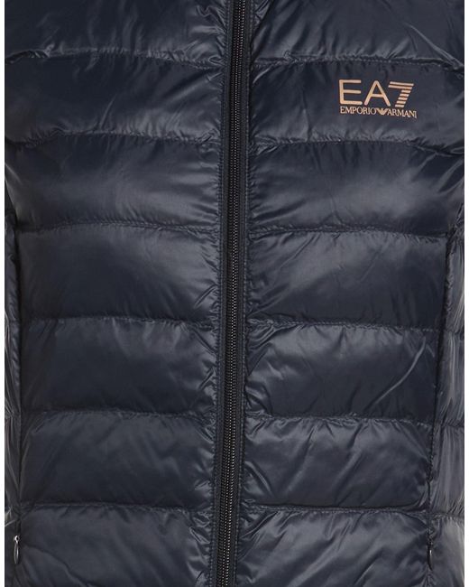 EA7 Blue Vests