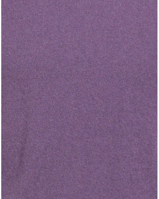 Diktat Purple Jumper for men