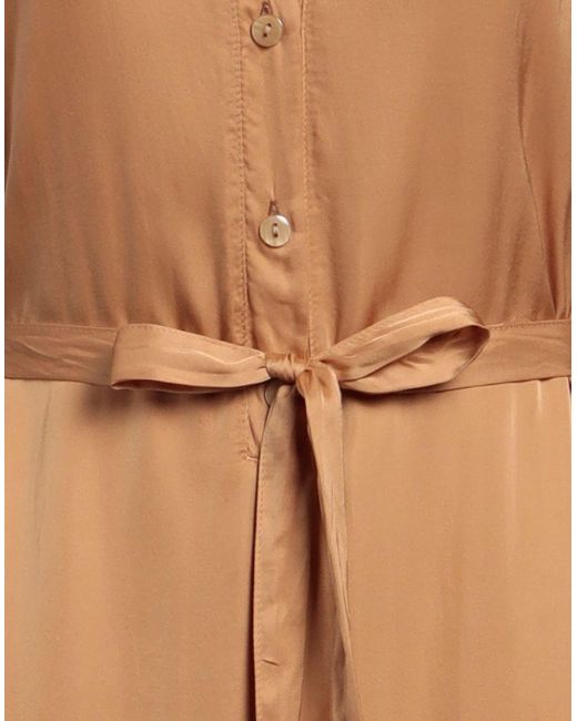 SKILLS & GENES Brown Midi Dress