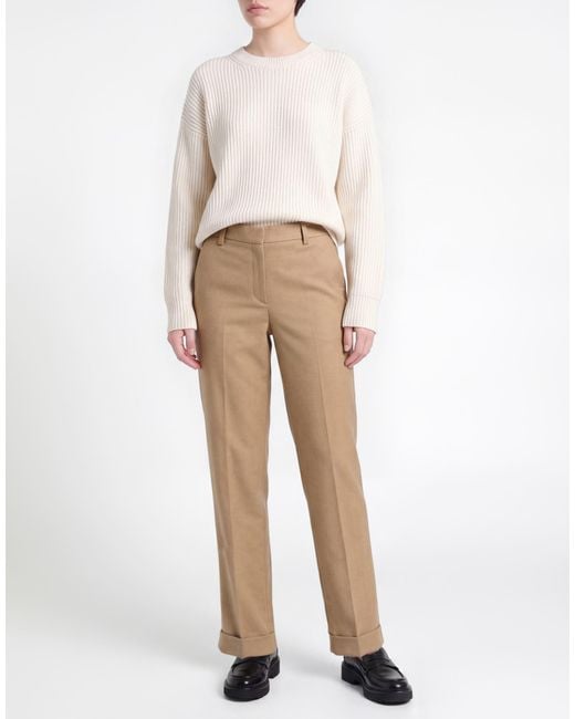 Antonelli Natural Pants Virgin Wool, Viscose, Polyester, Elastane