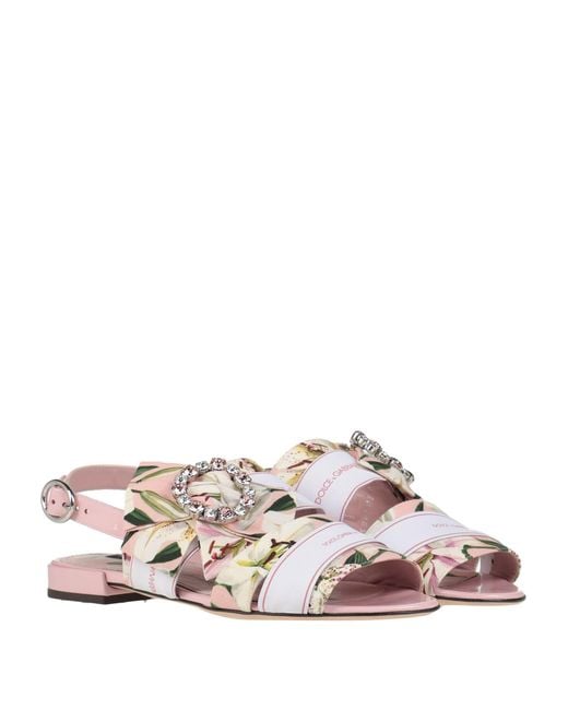 Dolce & Gabbana Pink Sandals