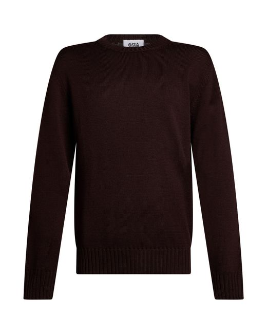 Alpha Studio Pullover in Black für Herren