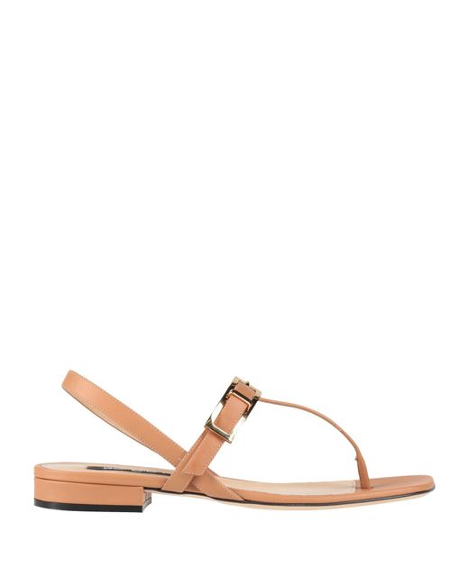 Sergio Rossi Natural Thong Sandal