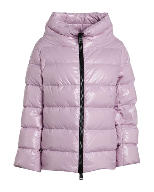 Herno Purple Puffers