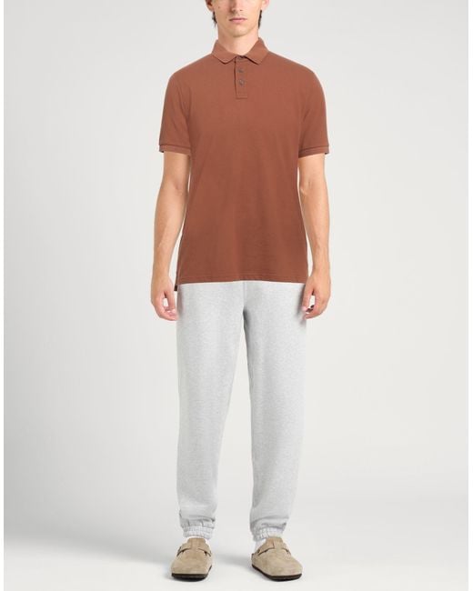 Polo Alpha Studio de hombre de color Brown