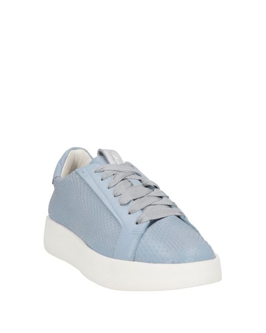 Santoni Blue Sneakers